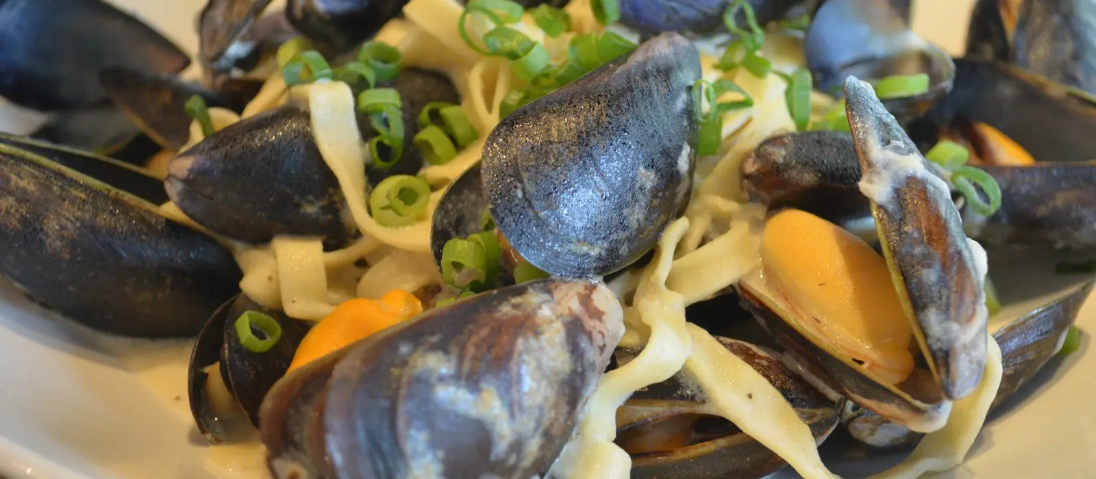 Creamy Mussels with Garlic, Parmesan and Pasta