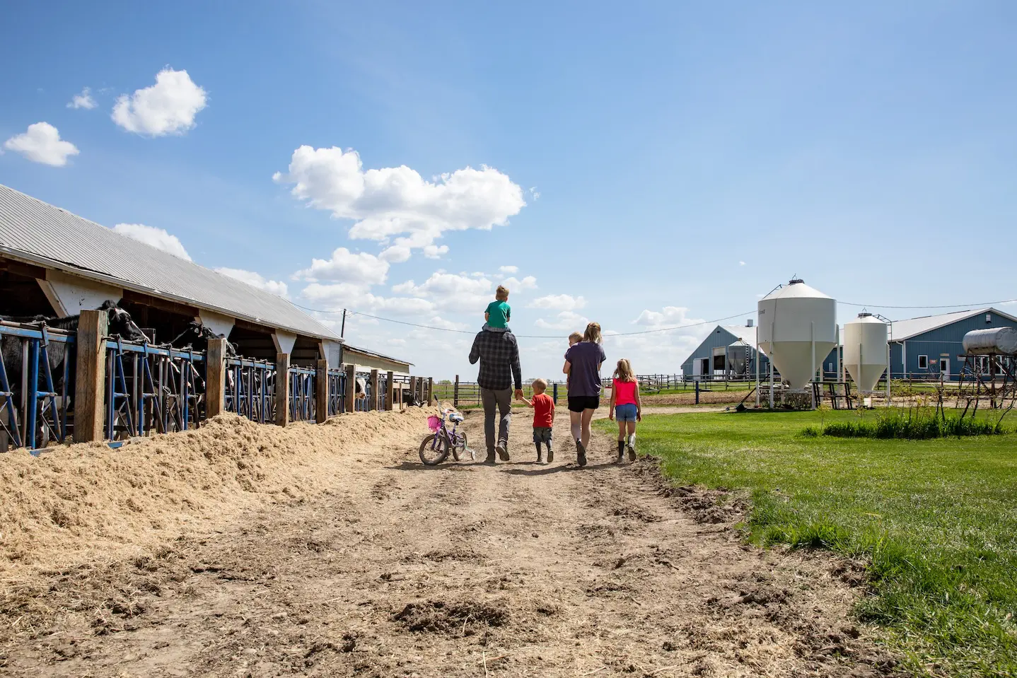 An image of the Schuurman family walking together on their farm