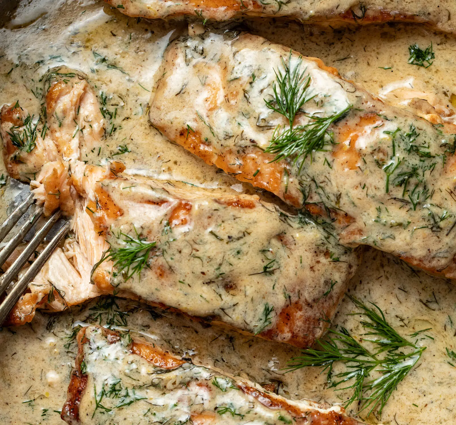 CREAMY LEMON-DILL SALMON