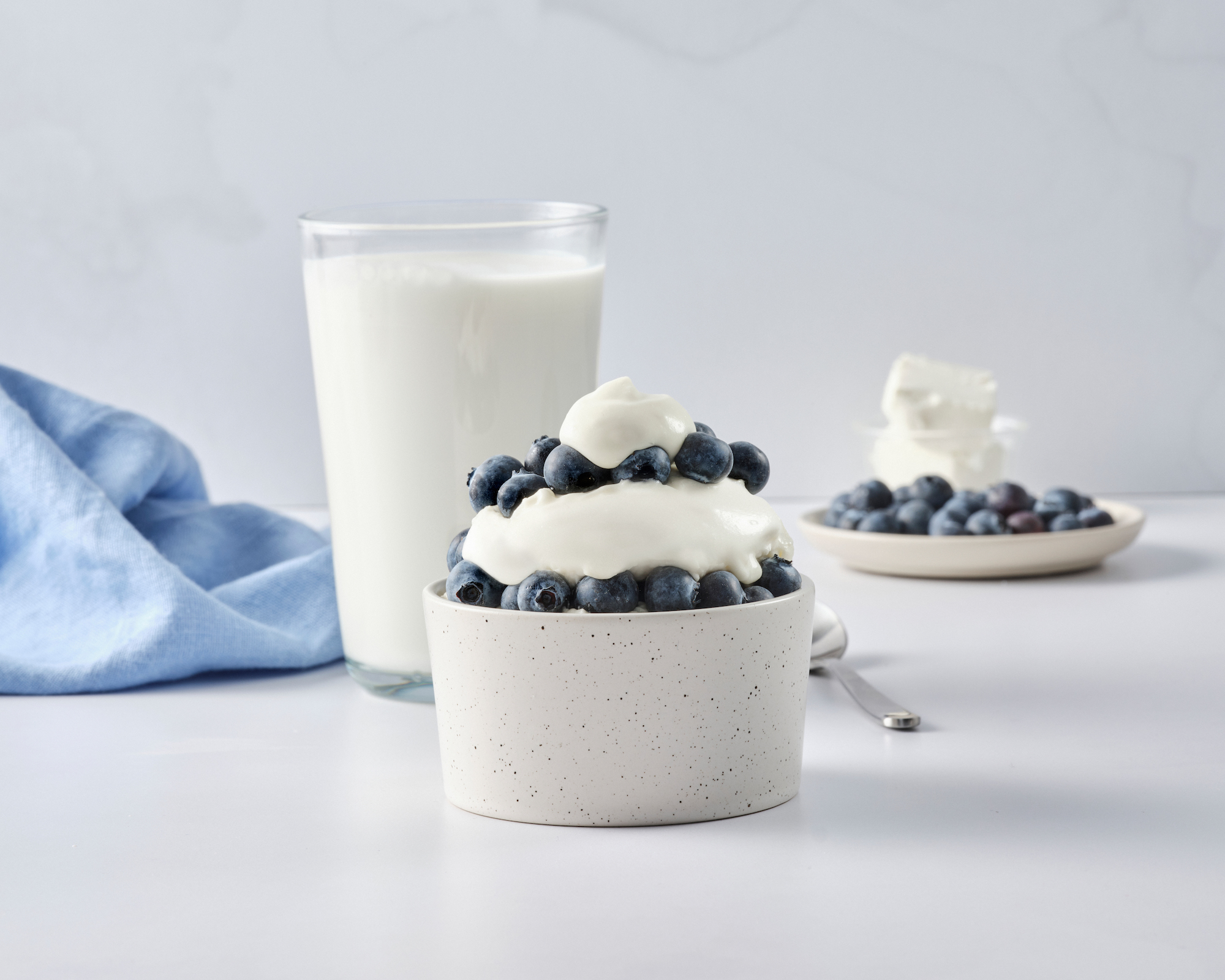 Blueberry cheesecake mugcake - Alberta Milk